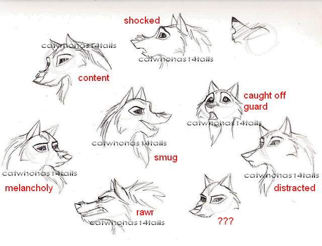 Achak expressions