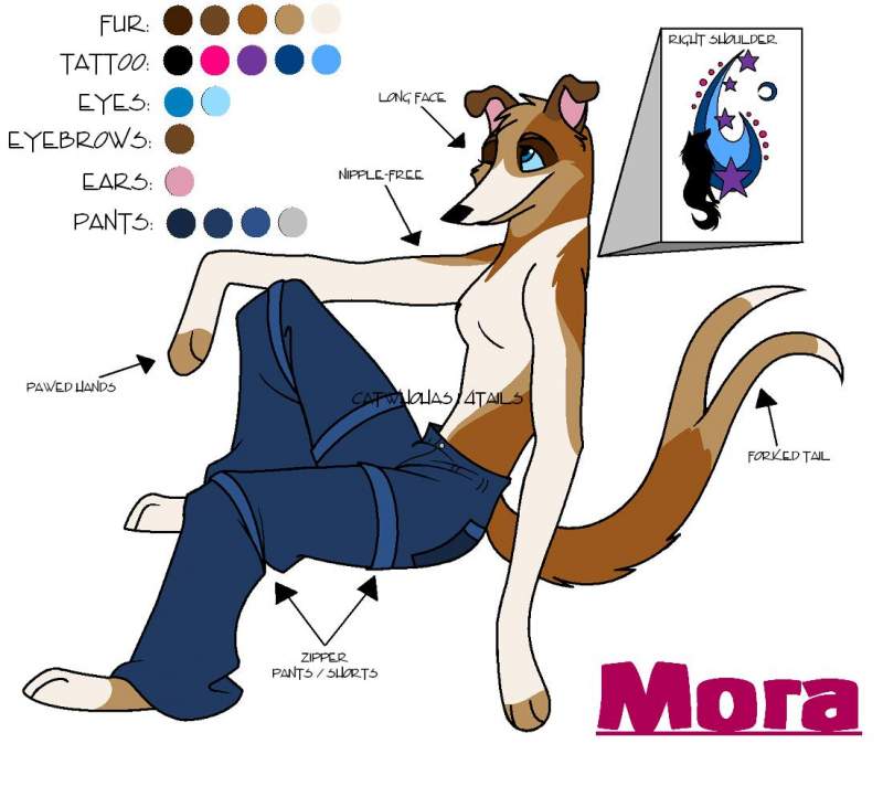 I'm a short-haired collie