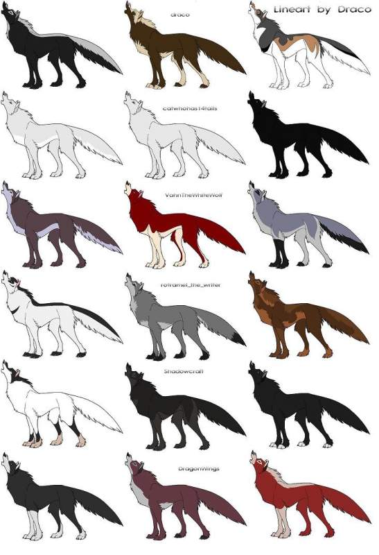 Achak's pack