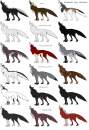Achak's pack