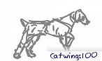 catwings100