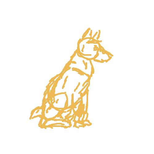 Basenji Sketch