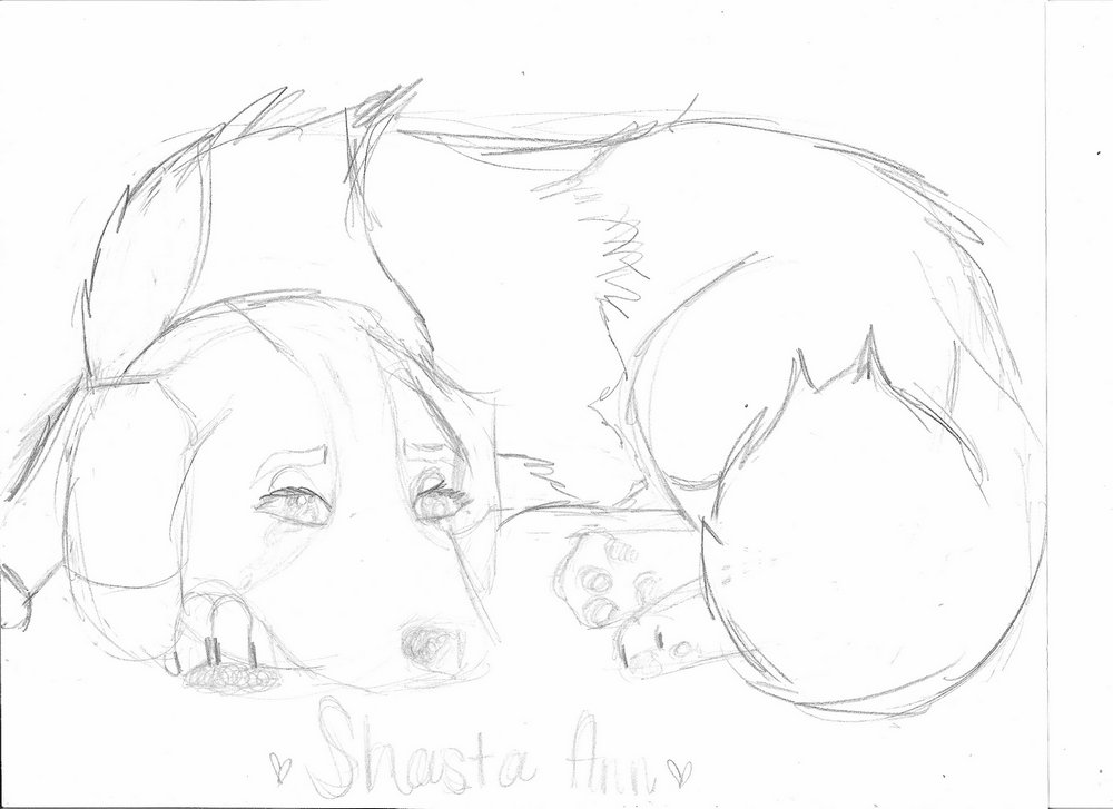 Shasta Ann