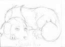 Shasta Ann