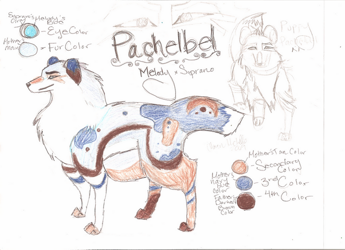 Pachelbel!!