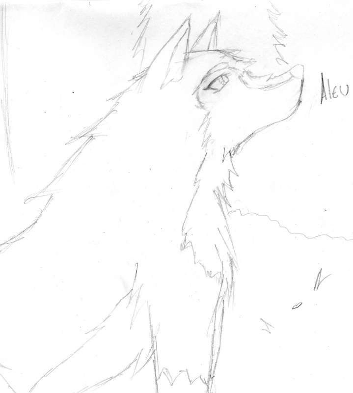 Aleu