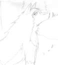 Aleu