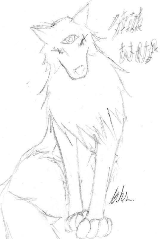 Stichwolf