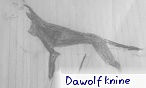 Dawolf knine