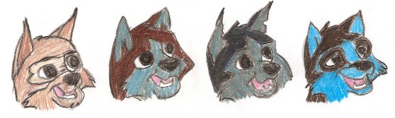 Niju's Litte Pack