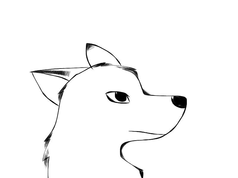 Aniu