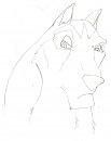 Steele line art