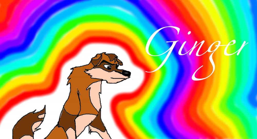 Adoptable tryout