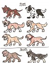 Adopt a pup!