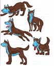 A wolf called Nuk