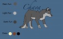 Chava ref sheet