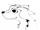 Little Aniu
