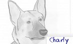 Charly