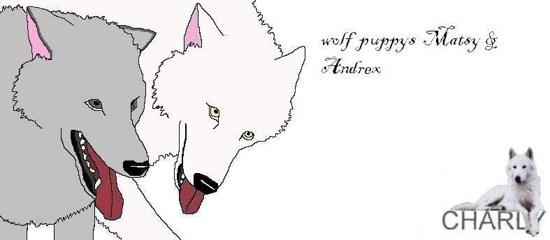 Wolf Cubs