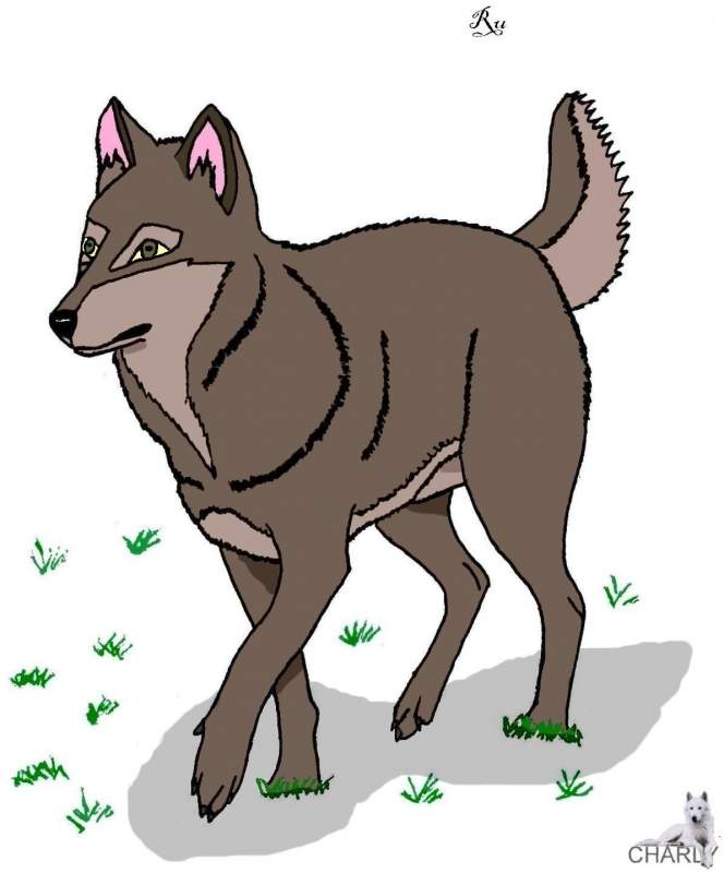 Ru