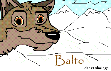 first balto pic!!