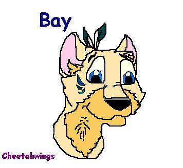 Bay
