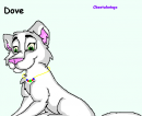 DOVE