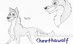 cheethawolf
