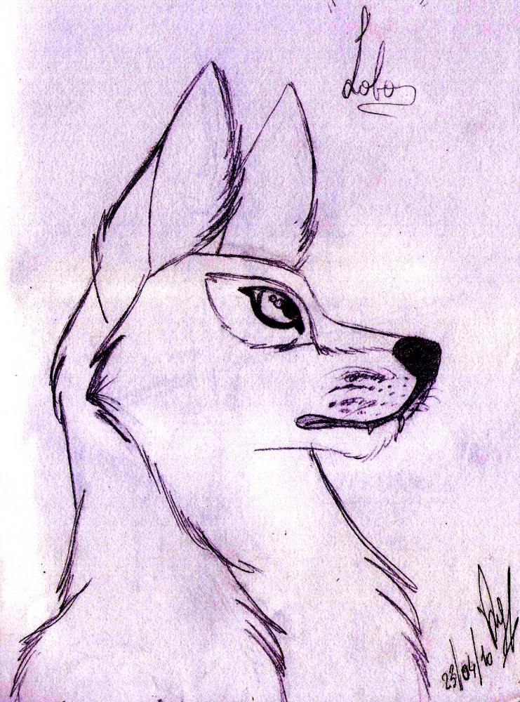 Random wolf (2010)