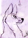 Random wolf (2010)
