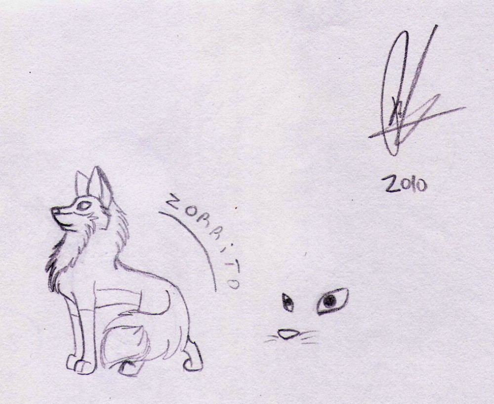 Zorrito
