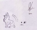 Zorrito