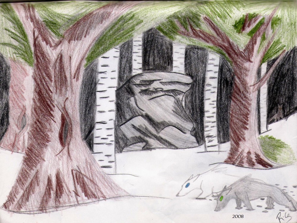 Shades: in the shadows of the forest. (2008)