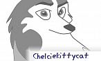 chelciekittycat