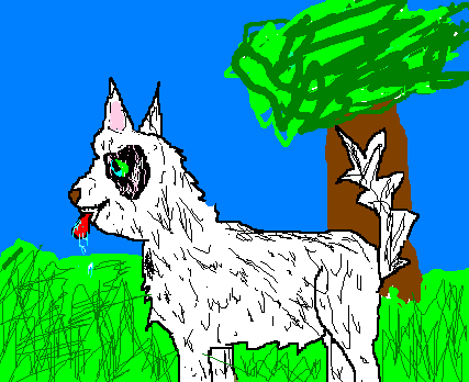 patch