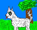patch