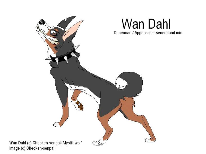 Wan Dahl