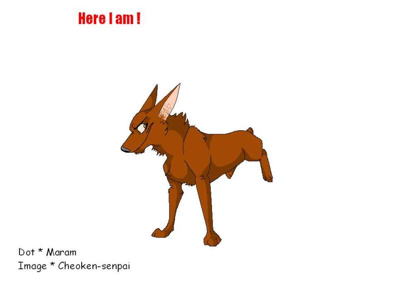 My dog