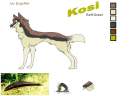 Kosi :3