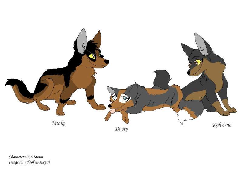 Nao & Voak's puppys