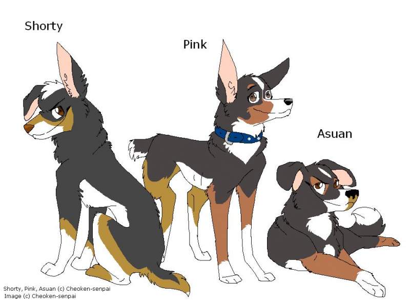 Wan Dahl's brothers