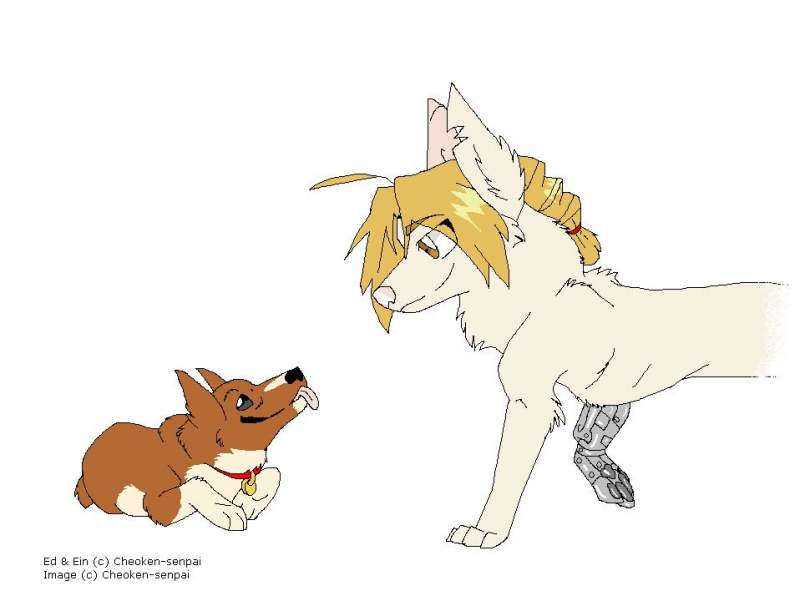 Ed & Ein