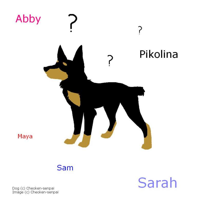 How Can I call my new dog ??????