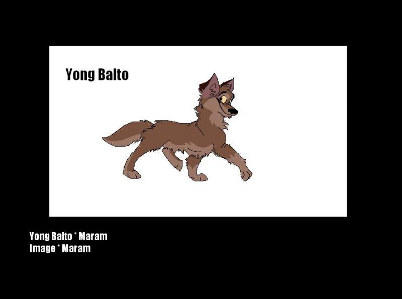 Young Balto