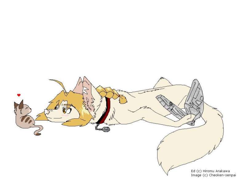 Edo with cat