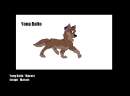 Young Balto