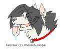 Kaziczek avatar