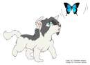Catch the butterfly