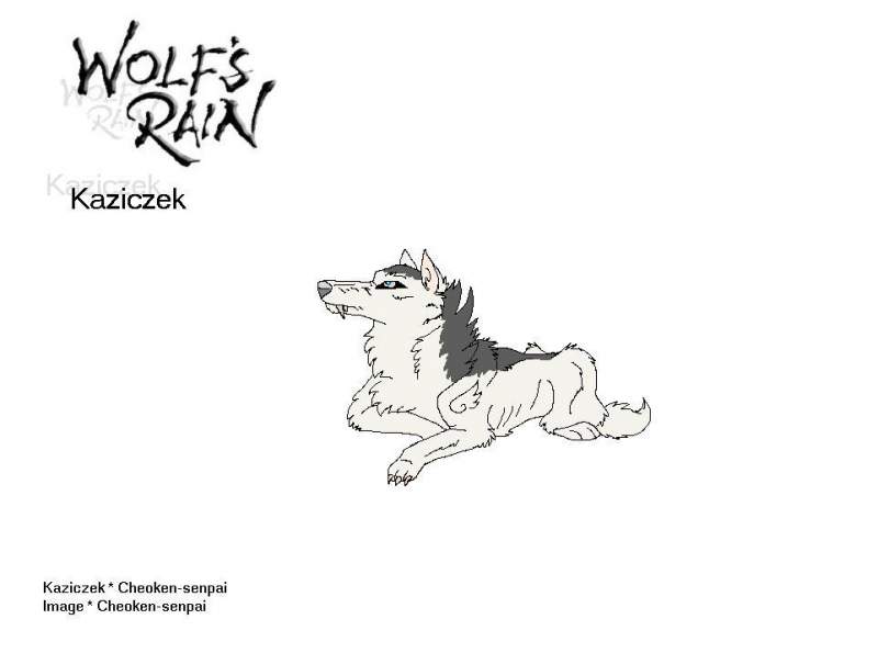Wolf's Rain ::Kaziczek::
