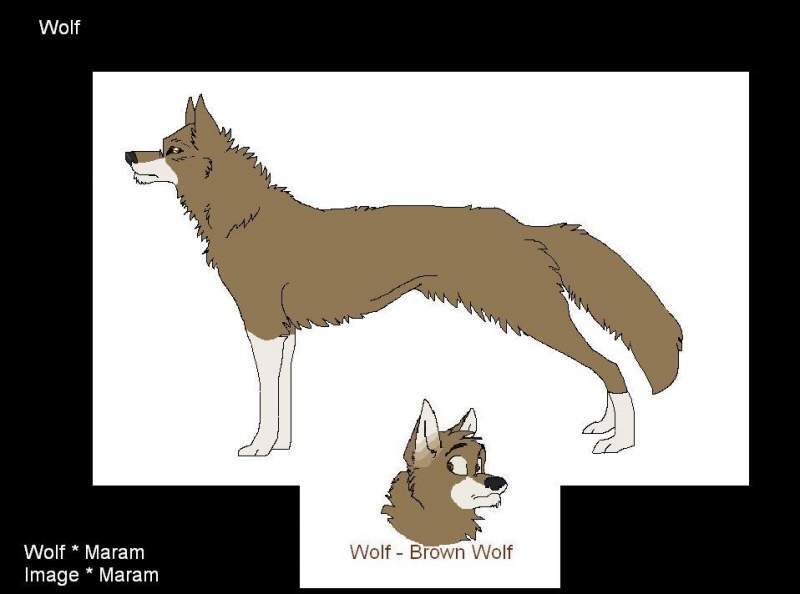 Wolf